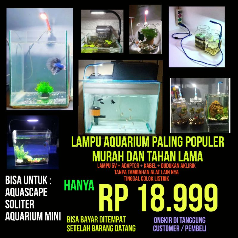 41 Lampu Aquarium Koki HD