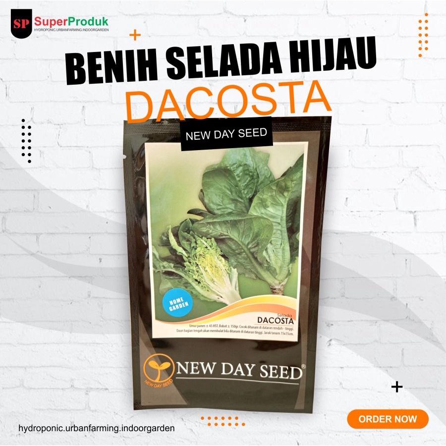 Benih Selada lettuce Romaine Dacosta