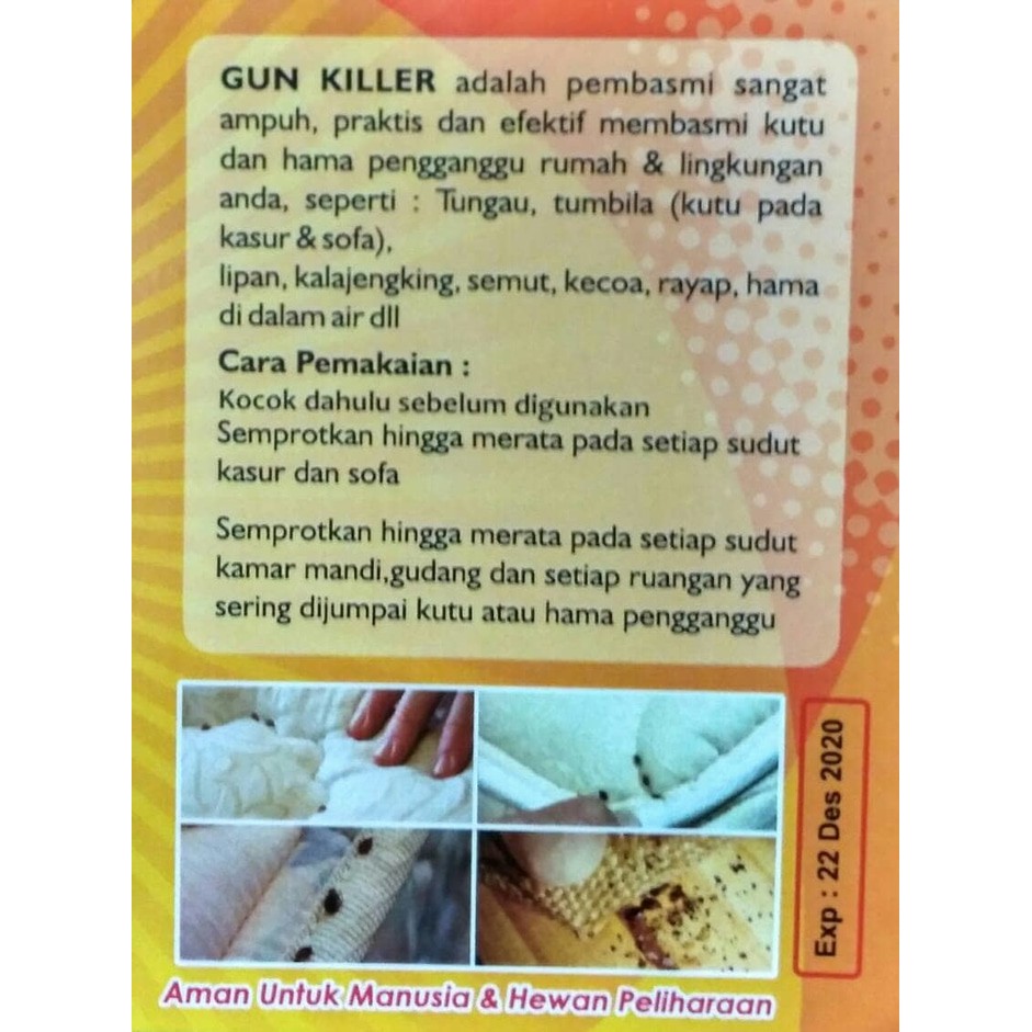 9900 Koleksi Gambar Hewan Tumbila HD