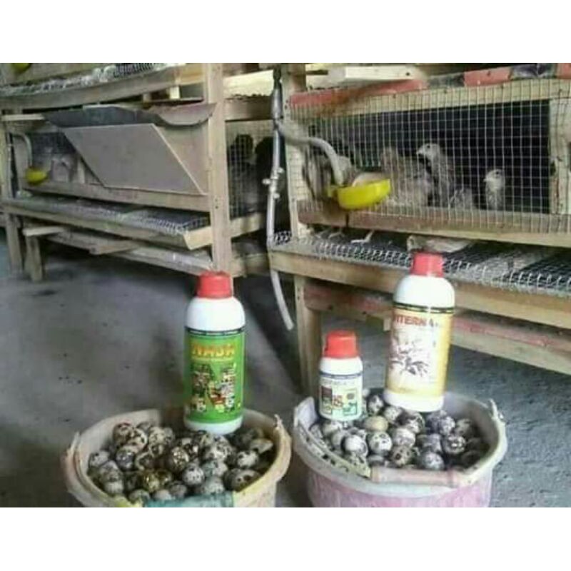 VITAMIN TERNAK BURUNG PUYUH