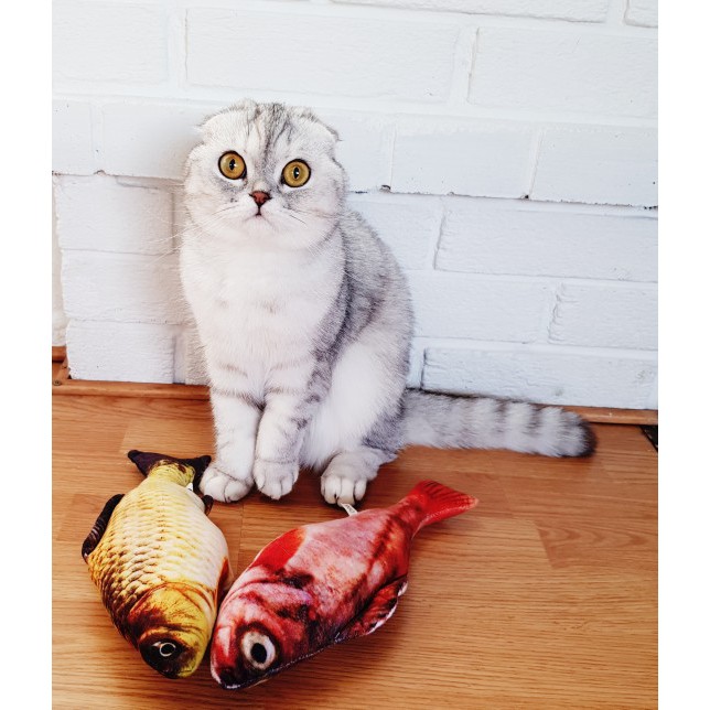 Boss Catfish Pillow 40 cm / Mainan Kucing / Fish Catnip Kucing
