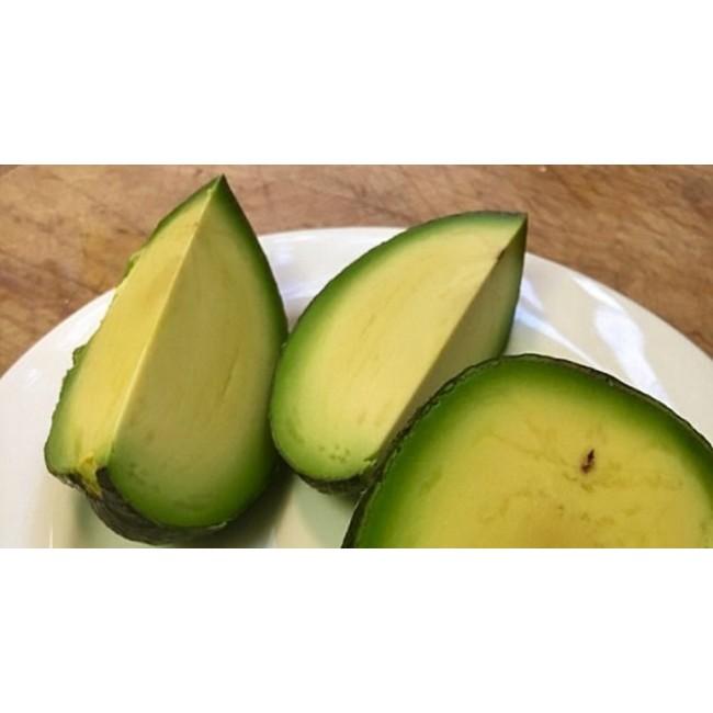 Bibit Alpukat Tanpa Biji