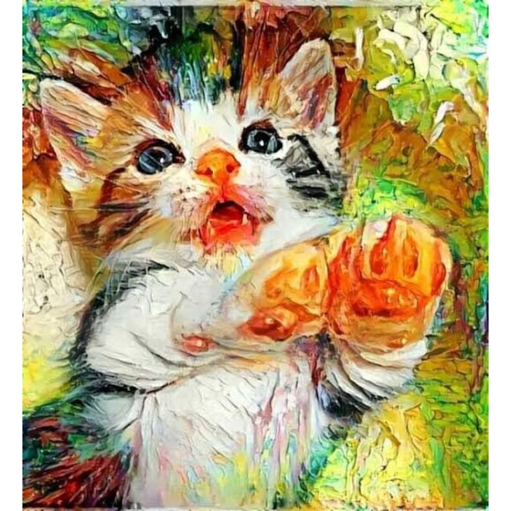 NOTA BONEKA HIDUP PERSIA BSH SCOTTISH HIMALAYA MUNCHKIN PEAKNOSE FLATNOSE BENGAL RAGDOLL