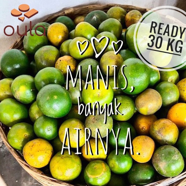 Jeruk Peras Semboro Asli Jember Manis 1 kg 1000g