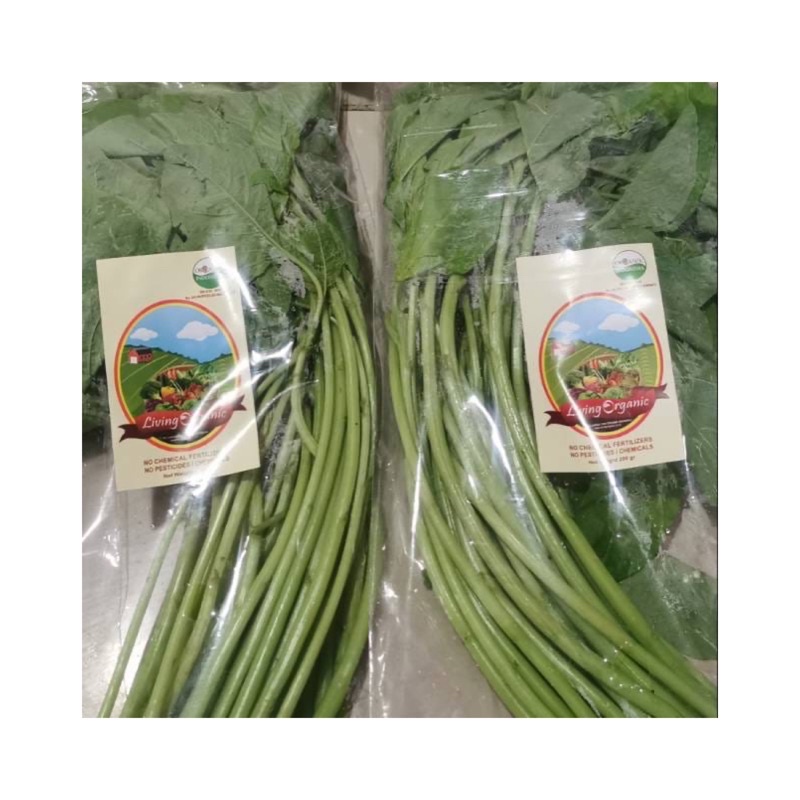 

Bayam || 200 gr || sayuran organik