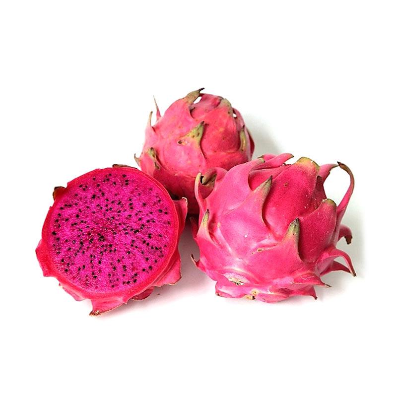 

BUAH NAGA MERAH buah buahan segar gizi tinggi