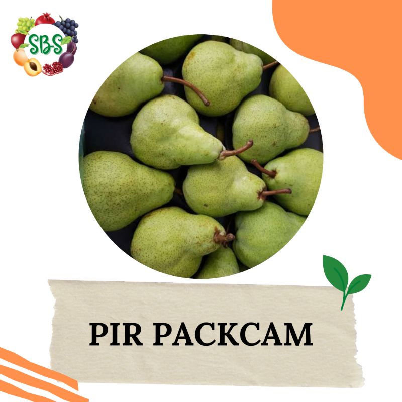 

Pear Packham 1 kg - Stadion Buah Segar