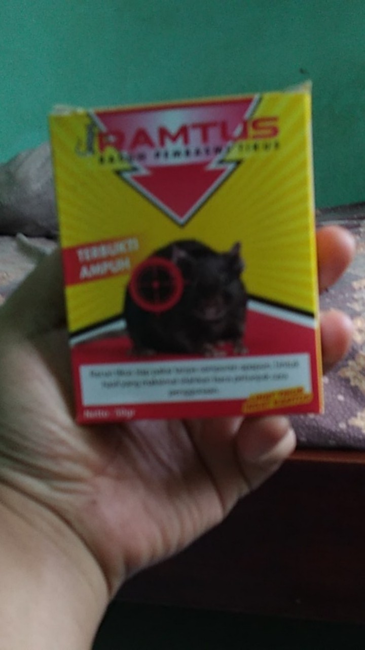 Ramtus Racun Tikus Ampuh Mati Kering Tidak Bau Pembasmi Curut Wirog Mencit Dirumah Di Mobil 2 Pack