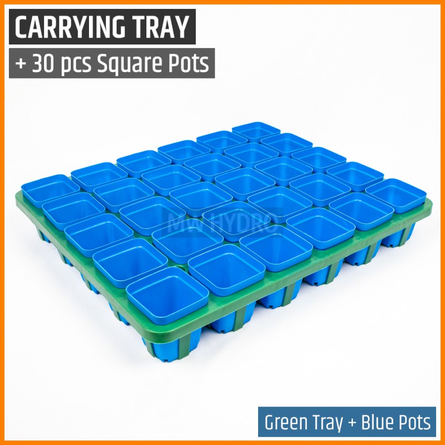 Carrying Tray include 30 pcs of 7 cm Square Pot - Tray + 30 Pot Kotak