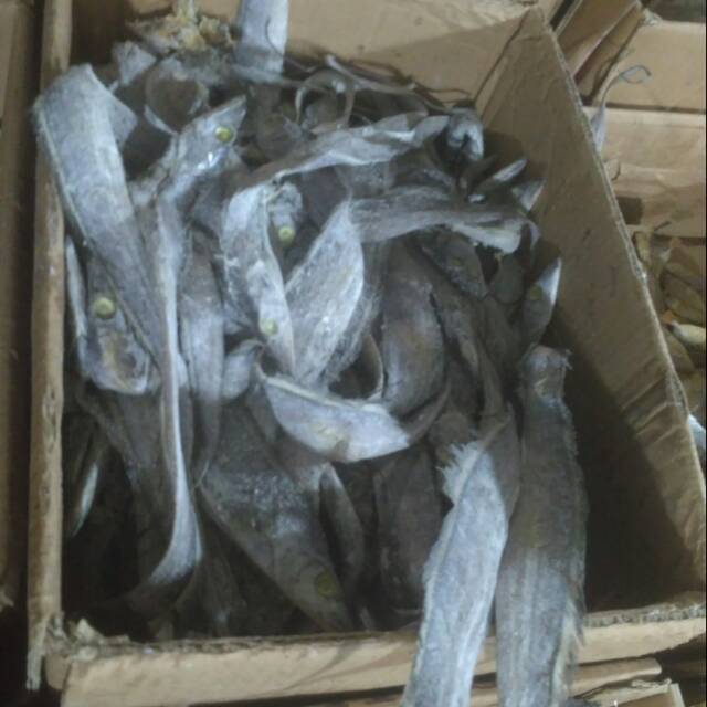 

Ikan asin layur 125 gram