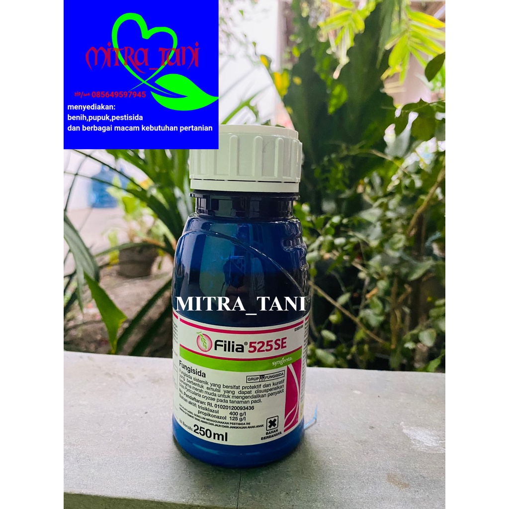 fungisida pencegah potong leher padi FILIA 525SE 250ml dari SYNGENTA