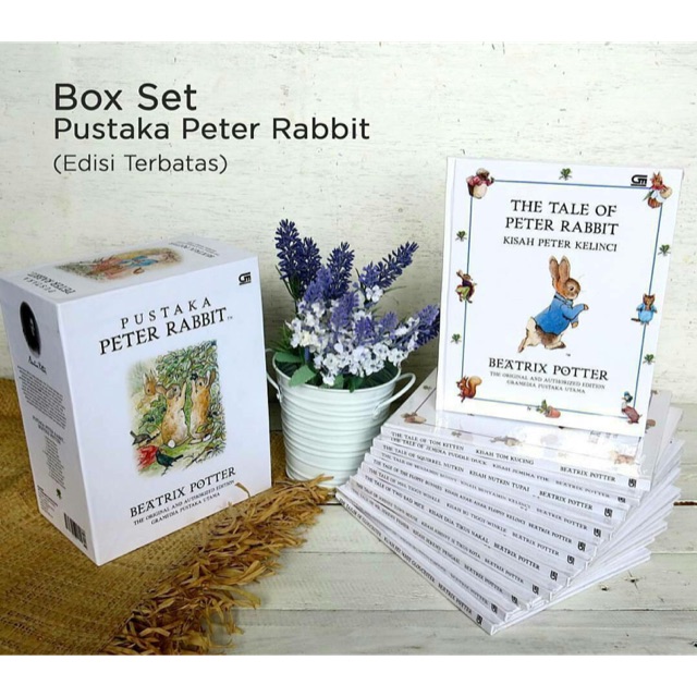 Peter rabbit book