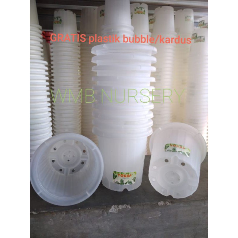 LUSINAN. Pot Yogap YPT 10