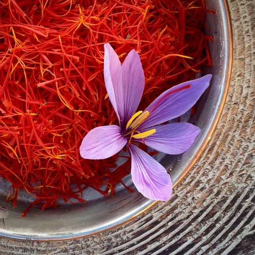 

Roxx.ea - .ea - .ea - The Best Grade - Super Negin Saffron (1 Gram) - Original Iran Saffron