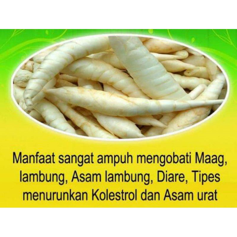 

Tepung Pati garut kasar kemasan 1 kg asli dari petani