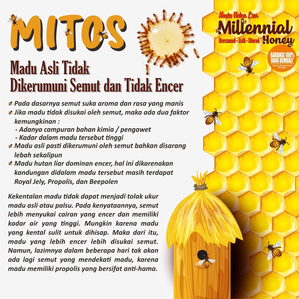 Madu Hutan Sumatra MIllinial Honey / Madu Hutan Alis Garansi 100% Uang Kembali - Berat 560gr -