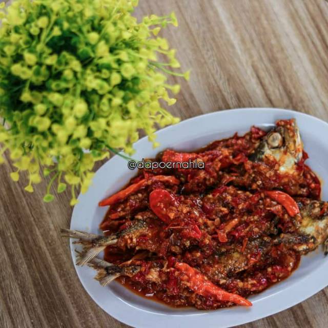 

Ikan peda mercon merah