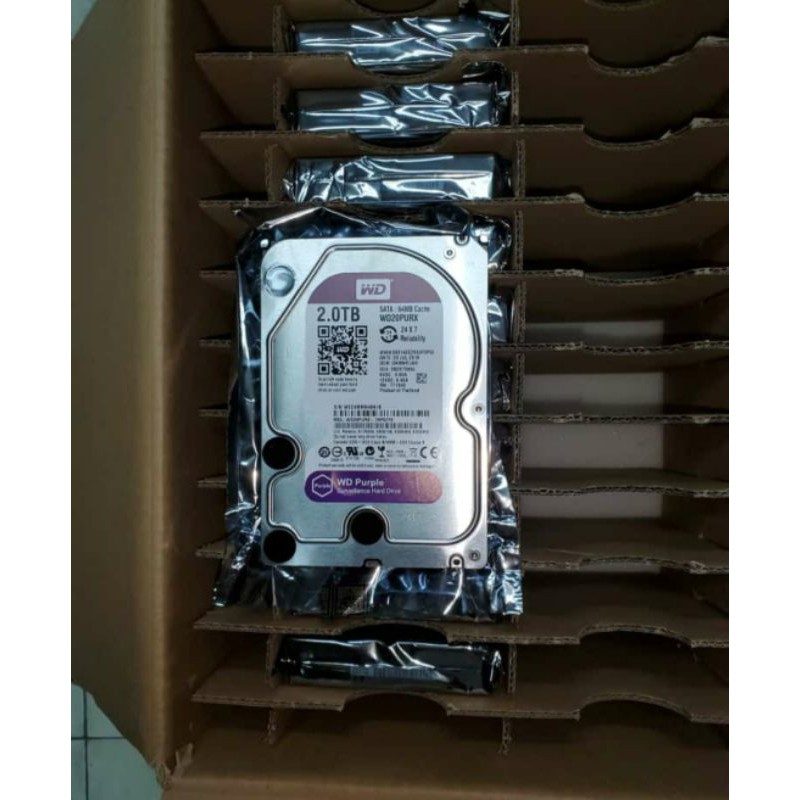 Harddisk WD Purple 2TB internal For PC