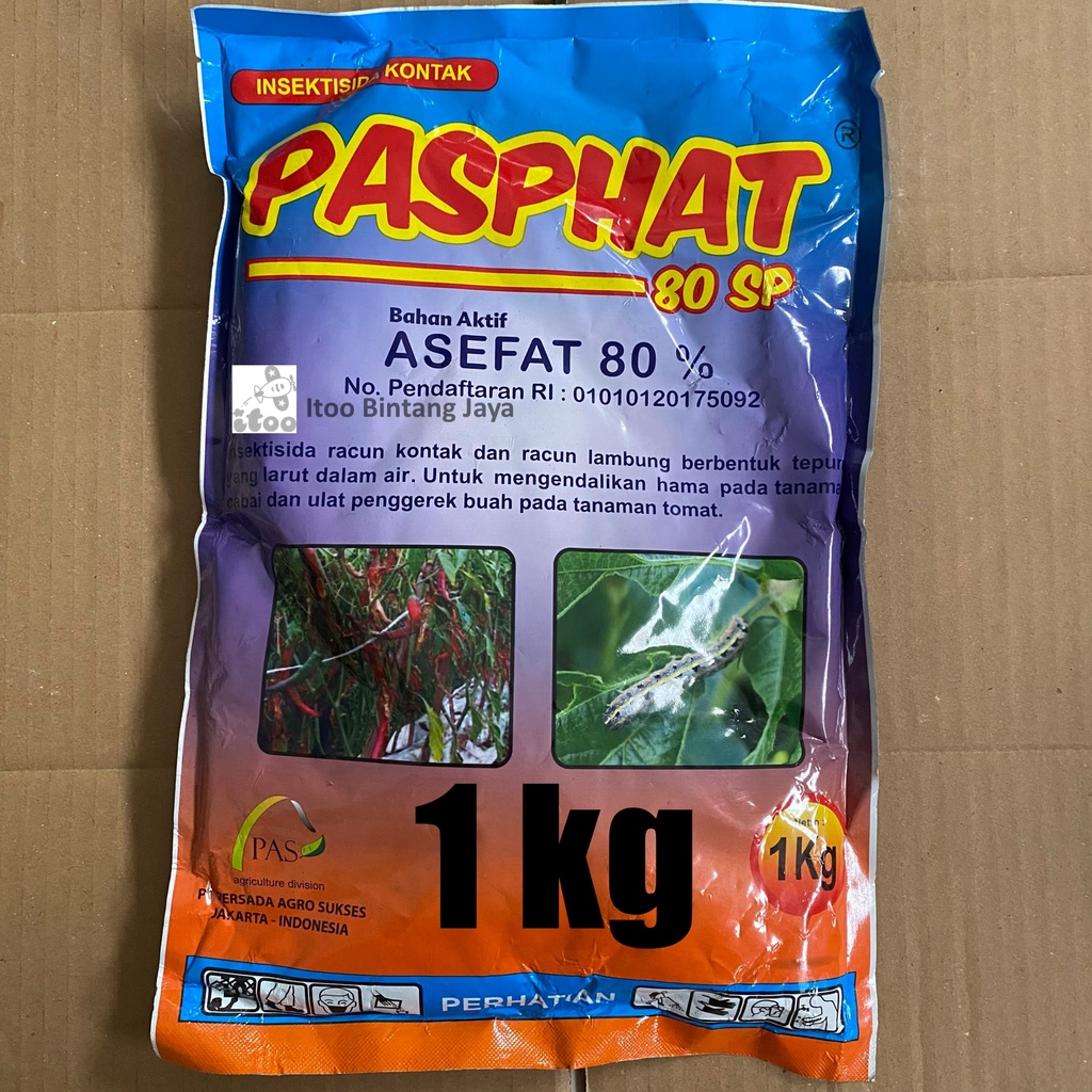 Insektisida Kontak Untuk Ulat PASPHAT Asefat 80WP 1 kg