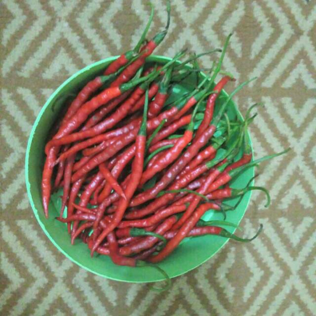 

Cabe Merah fresh dan berkualitas 500gram