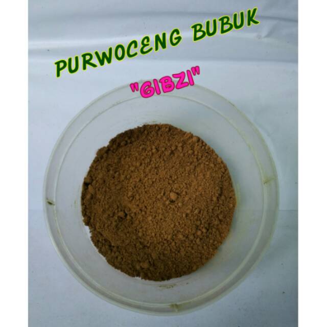 Purwoceng bubuk 1kg