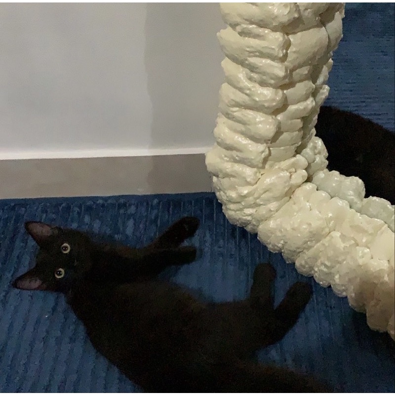 standing mirror foam 130x50 atas nama abigail aurellia