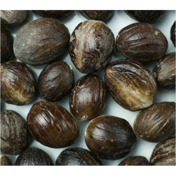 

Rempah Rempah BUAH PALA ( @ 500 Gram )