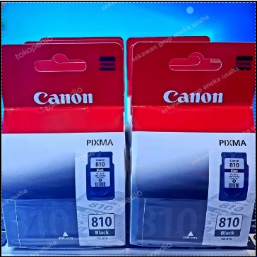 Tinta I canon I pg810