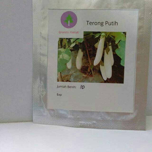 Bibit/benih Terong putih