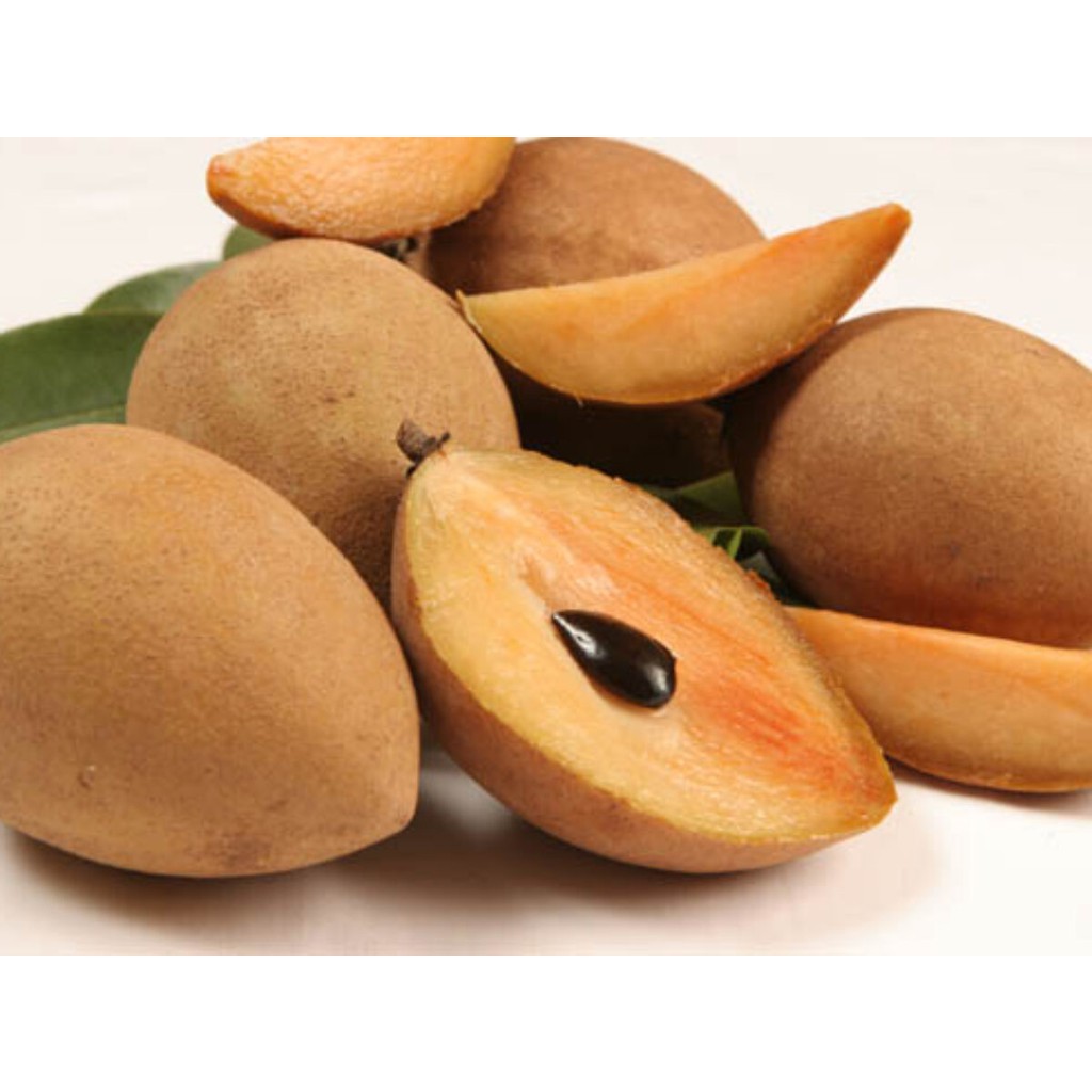 

Sawo Manis Buah Segar /kg
