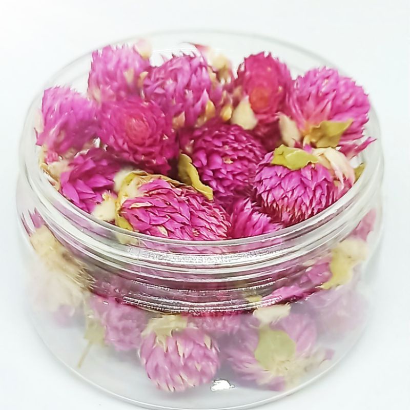 GLOBE AMARANTH FLOWER TEA TISANE BUNGA KENOP TEH BUNGA PREMIUM HERBAL DETOX FLU BATUK