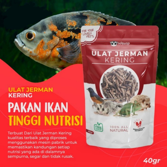 Ulat Jerman Kering - Pakan Ikan Predator / Burung Kicau / Sugar Glider