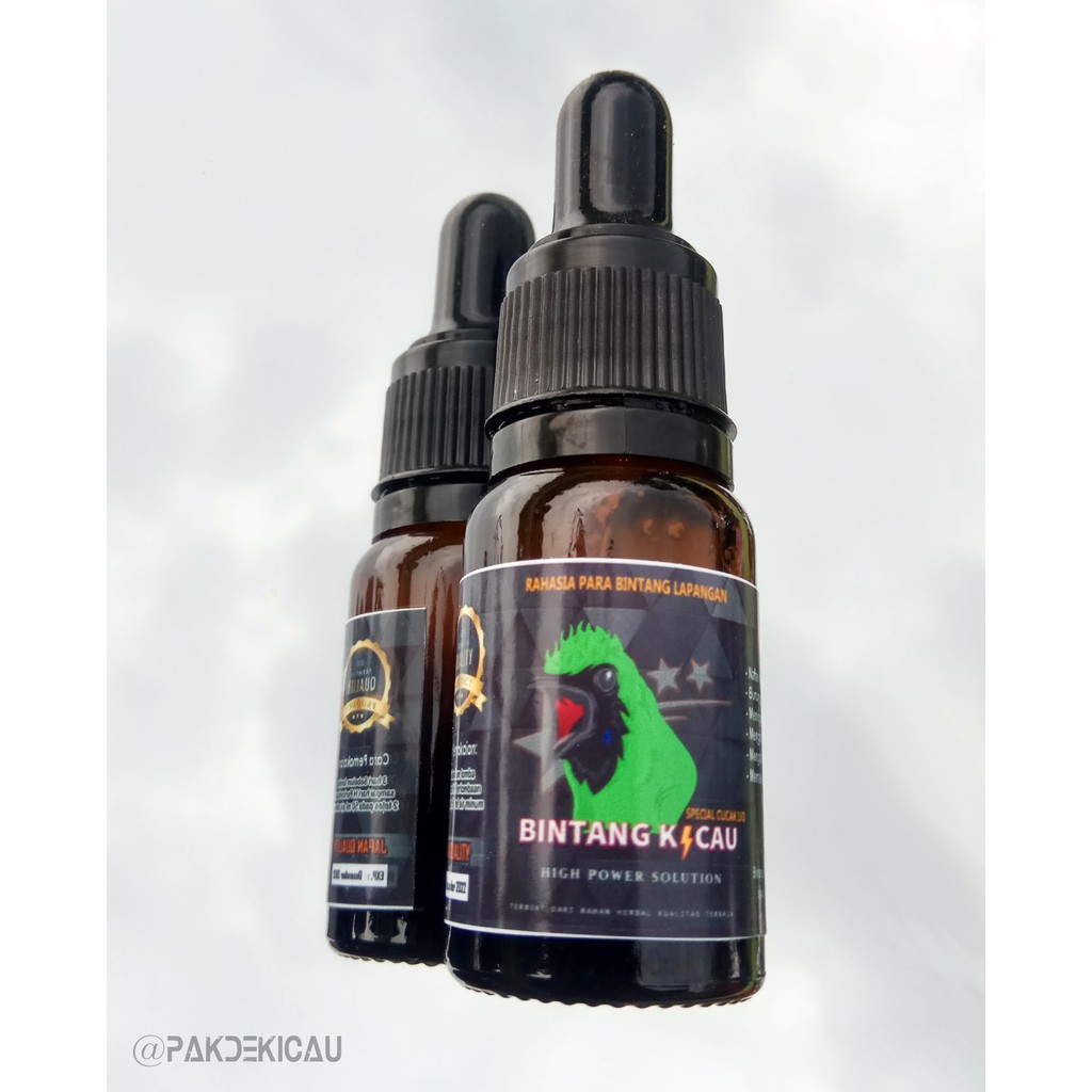 Bintang Kicau Spesial Cucak Hijau - Solusi Cucak Ijo Macet Bunyi Jadi Bunyi Lagi | pakdekicau-1