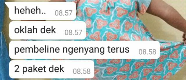 Biji Benih Bibit Kaktus Besar