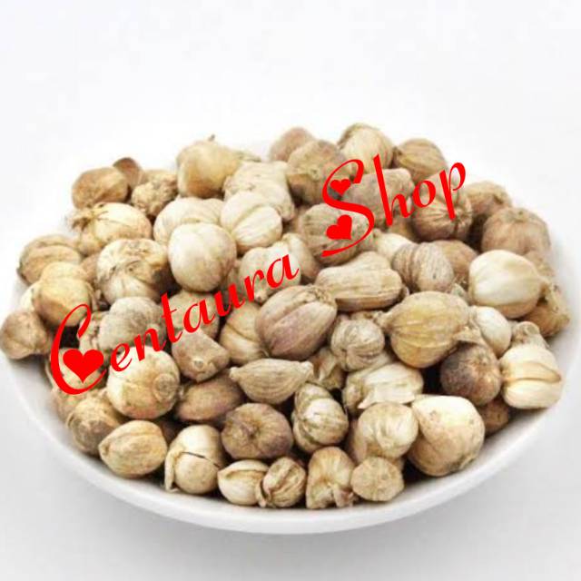 

Kapulaga Herbal Kwalitas Super 50gr