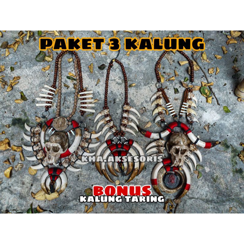 Kalung Etnik Kalung Taring Babi Kalung Dayak Kalung Kalimantan Kalung Pria Kalung Punk Kalung Karoma