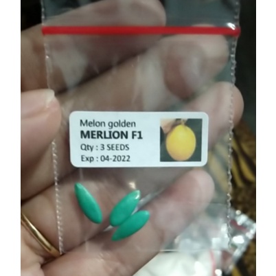 Benih Melon Golden MERLION F1 - 3 Biji