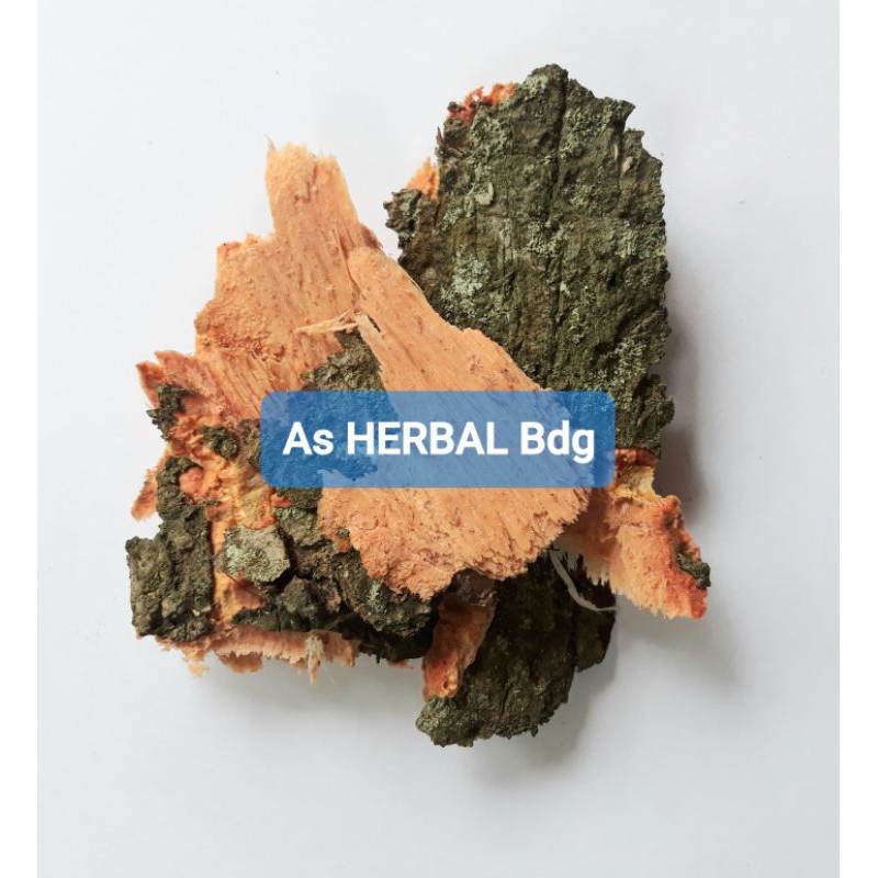 

Kulit pohon mangga segar 250 gram-az