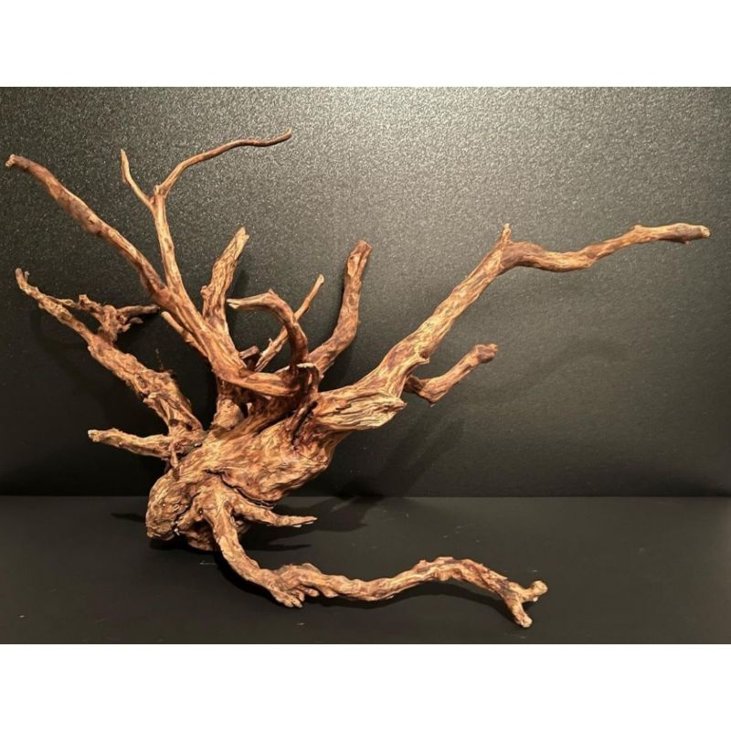 kayu rasamala aquascape size XXL