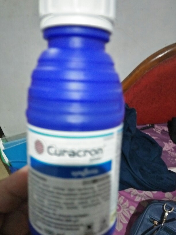 Curacron 500ec 100 Ml ( Insektisida Pembasmi Ulat Dan Lalat Buah Paling Murah )