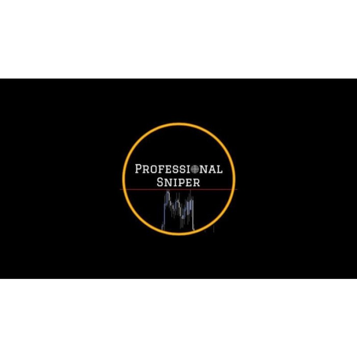 

BUY 1 FREE 1 Professional Sniper FX Forex Trading Video Course