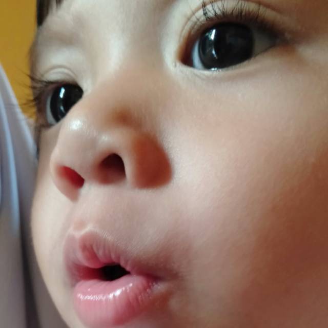 faulaarinamanasikana