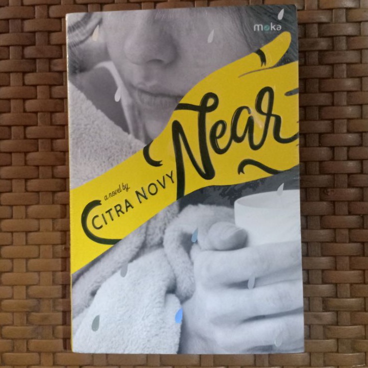 Novel Near A Novel By Citra Novy