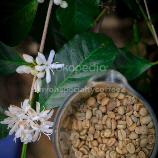 

green bean honey halu banana