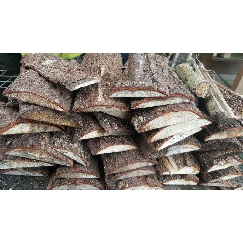 Media Anggrek kulit pinus