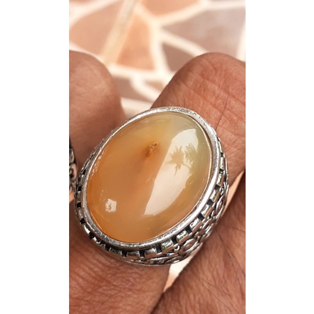 Natural akik combong serambut