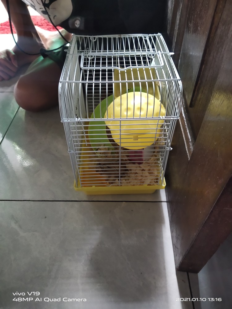 Aquaproof, No Drop 1 Kg Pelapis Anti Bocor