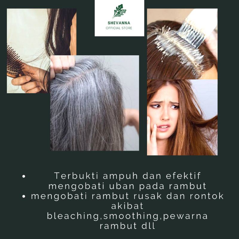 MINYAK KEMIRI BAKAR ASLI Penumbuh Rambut Alis Brewok Kumis Bulu Mata dan Jambang by shevanna