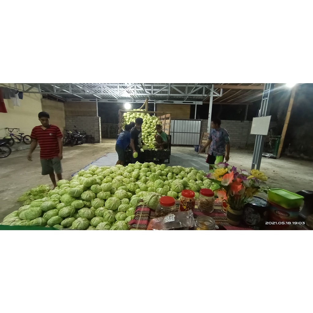 

sayur kol,asam tanpa biji
