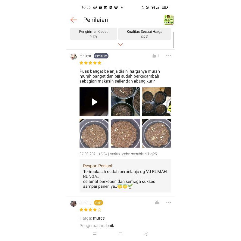 Benih Sayuran Unggul Ratusan Benih Sayur Benih Bibit Sayuran-7